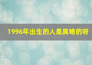 1996年出生的人是属啥的呀