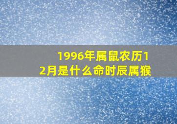 1996年属鼠农历12月是什么命时辰属猴