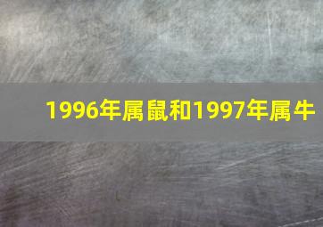 1996年属鼠和1997年属牛