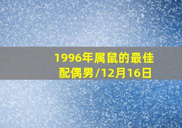 1996年属鼠的最佳配偶男/12月16日