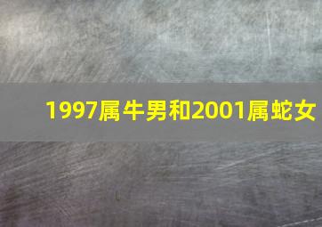 1997属牛男和2001属蛇女