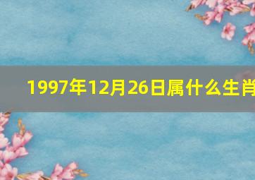 1997年12月26日属什么生肖