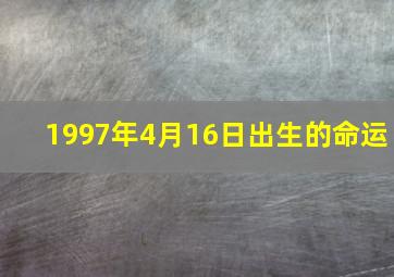 1997年4月16日出生的命运