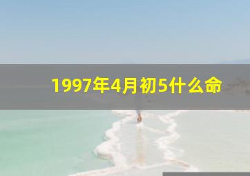 1997年4月初5什么命