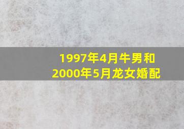 1997年4月牛男和2000年5月龙女婚配