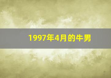 1997年4月的牛男