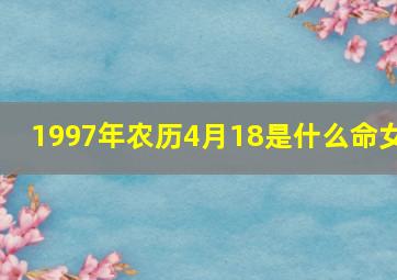 1997年农历4月18是什么命女