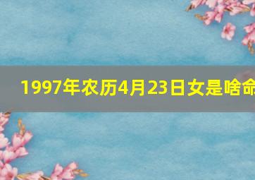 1997年农历4月23日女是啥命