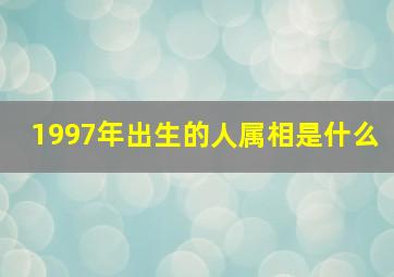 1997年出生的人属相是什么