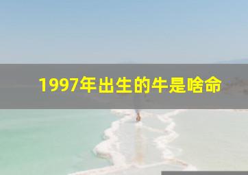 1997年出生的牛是啥命