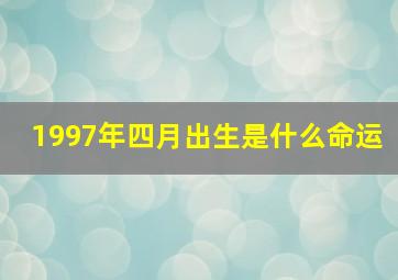 1997年四月出生是什么命运