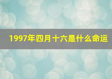 1997年四月十六是什么命运