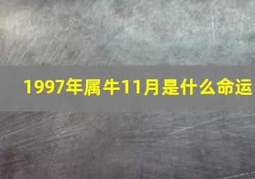 1997年属牛11月是什么命运