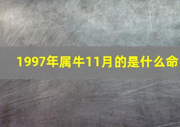 1997年属牛11月的是什么命