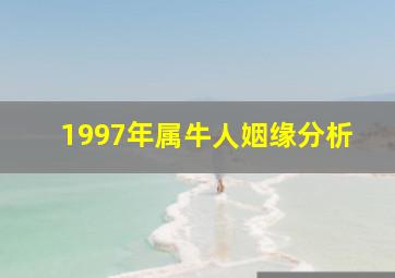 1997年属牛人姻缘分析