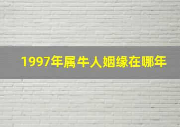 1997年属牛人姻缘在哪年