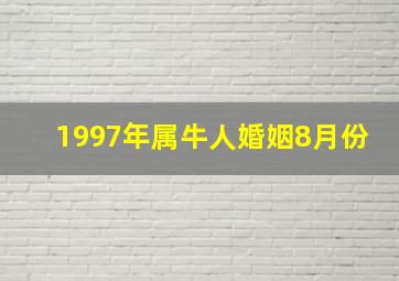 1997年属牛人婚姻8月份