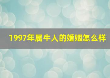 1997年属牛人的婚姻怎么样