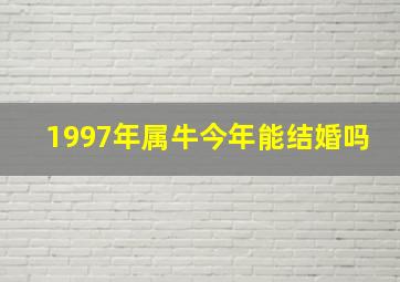 1997年属牛今年能结婚吗