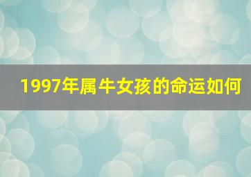 1997年属牛女孩的命运如何