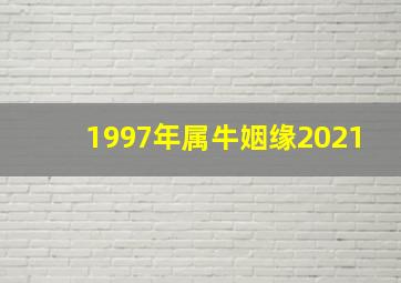 1997年属牛姻缘2021