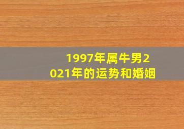 1997年属牛男2021年的运势和婚姻