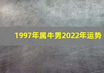 1997年属牛男2022年运势