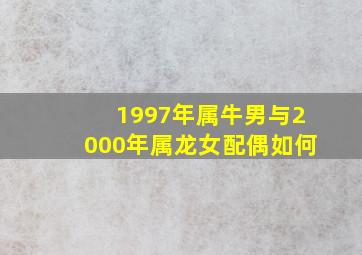 1997年属牛男与2000年属龙女配偶如何