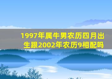 1997年属牛男农历四月出生跟2002年农历9相配吗