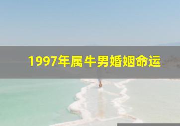 1997年属牛男婚姻命运