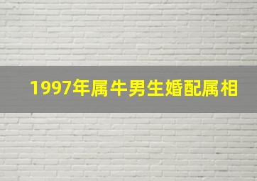 1997年属牛男生婚配属相