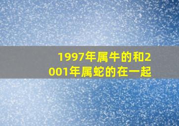 1997年属牛的和2001年属蛇的在一起