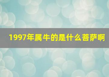 1997年属牛的是什么菩萨啊