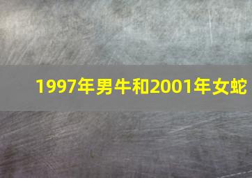 1997年男牛和2001年女蛇