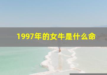 1997年的女牛是什么命