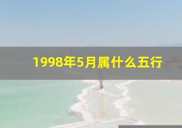 1998年5月属什么五行