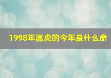 1998年属虎的今年是什么命