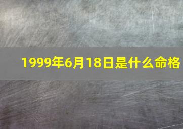 1999年6月18日是什么命格