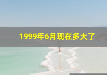 1999年6月现在多大了