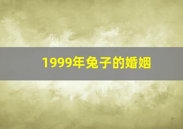 1999年兔子的婚姻