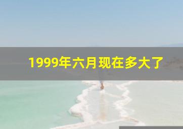 1999年六月现在多大了