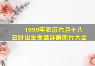 1999年农历六月十八丑时出生命运详解图片大全