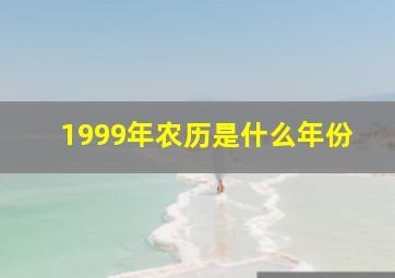 1999年农历是什么年份