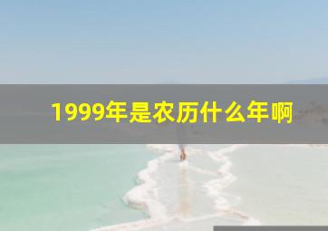 1999年是农历什么年啊