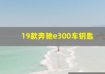 19款奔驰e300车钥匙