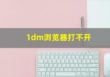 1dm浏览器打不开