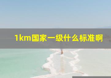 1km国家一级什么标准啊