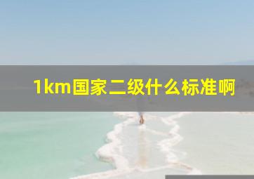 1km国家二级什么标准啊