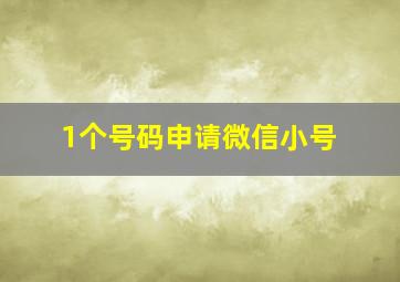 1个号码申请微信小号