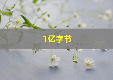 1亿字节